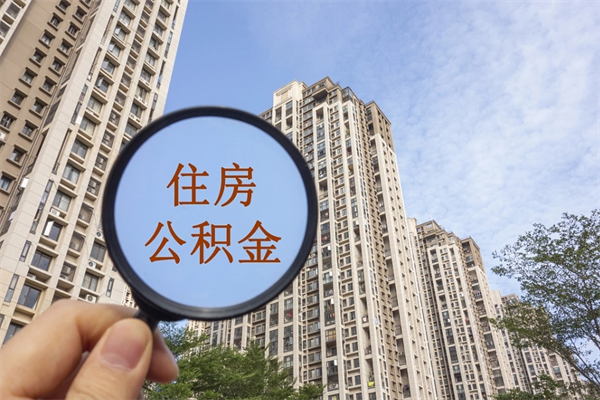 浚县离职后公司不给转公积金怎么办（离职后公司不给转社保怎么办）